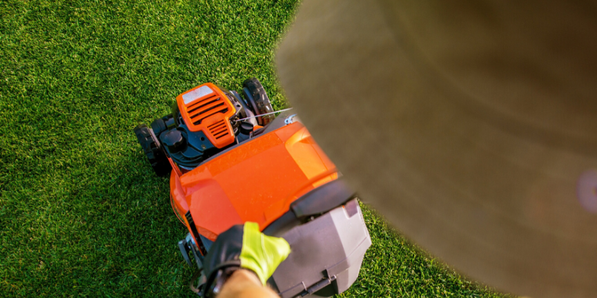 Is Your Lawn Dying?: Lawn Service Tips to Save Your Grass