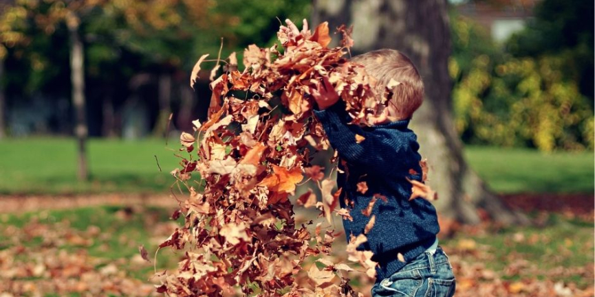 Lawn Care Tips from the Pros for Fall!